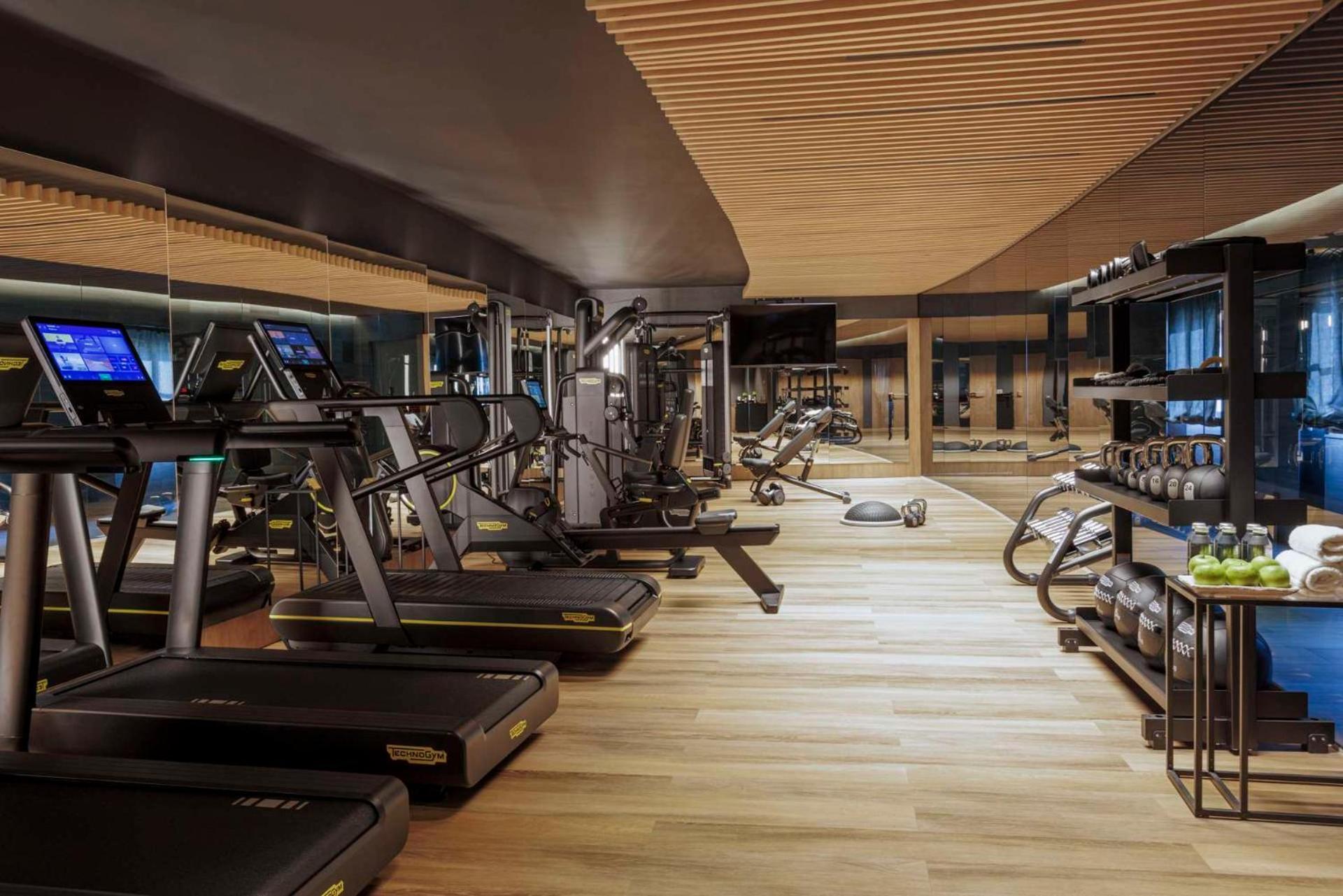 Anantara Palazzo Naiadi Rome Hotel - A Leading Hotel Of The World Ngoại thất bức ảnh The gym at The Hari